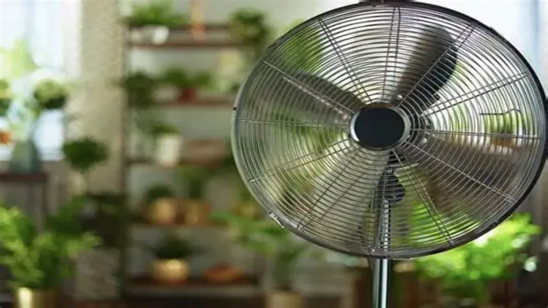 Procon Goiânia Revela Variações de Até 145% nos Preços de Produtos para Combater o Calor