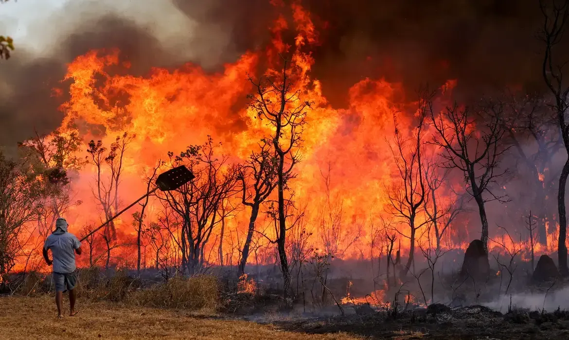 Queimadas em 2025 já são as quintas maiores desde 2003, com Cerrado mais afetado