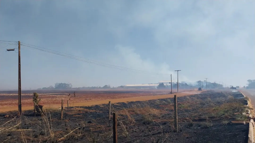 Equatorial Goiás registra aumento de mais de 22% nas ocorrências envolvendo queimadas em um ano