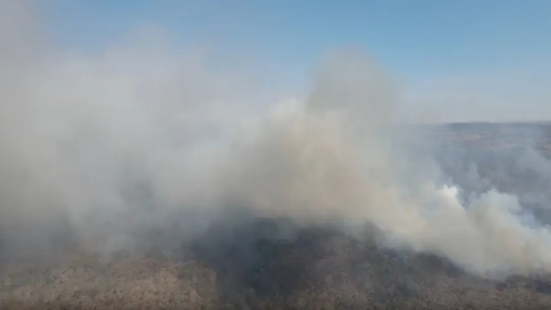 Goiás registra mais de 10 mil focos de incêndio em 2025; setembro deve ser o mês mais crítico