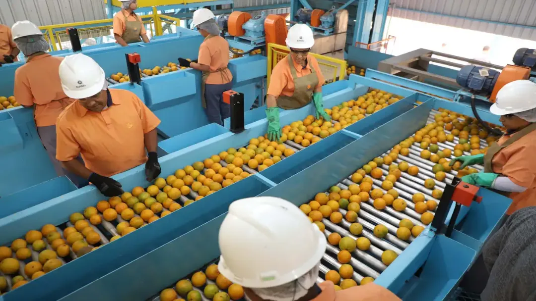 Exportações para os EUA caem 22% em agosto após aplicação de tarifas adicionais