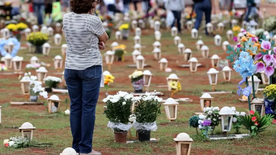 Finados: Floriculturas em Goiânia Reforçam Estoque para Alta Demanda