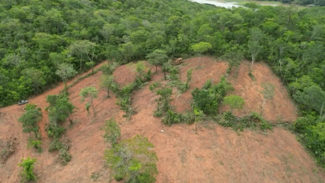 Área desmatada em Goiás é a menor da história, com 231 km², diz levantamento do Inpe
