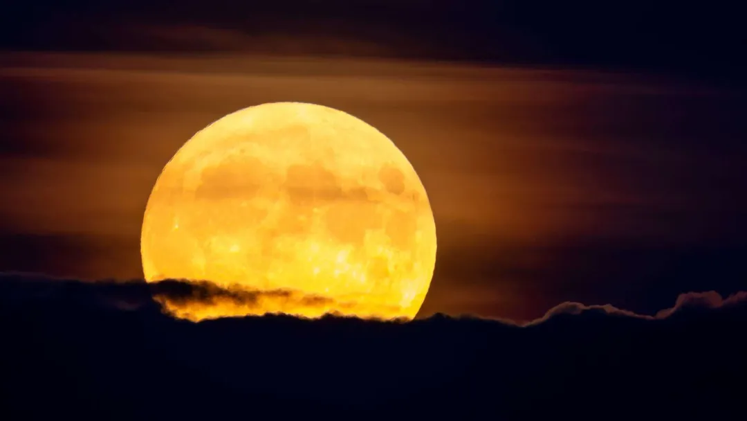 Maior Superlua de 2025 ilumina o céu esta semana: saiba o porquê