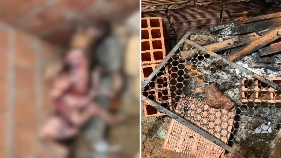 Homem é preso em Goiás suspeito de matar e assar cachorro