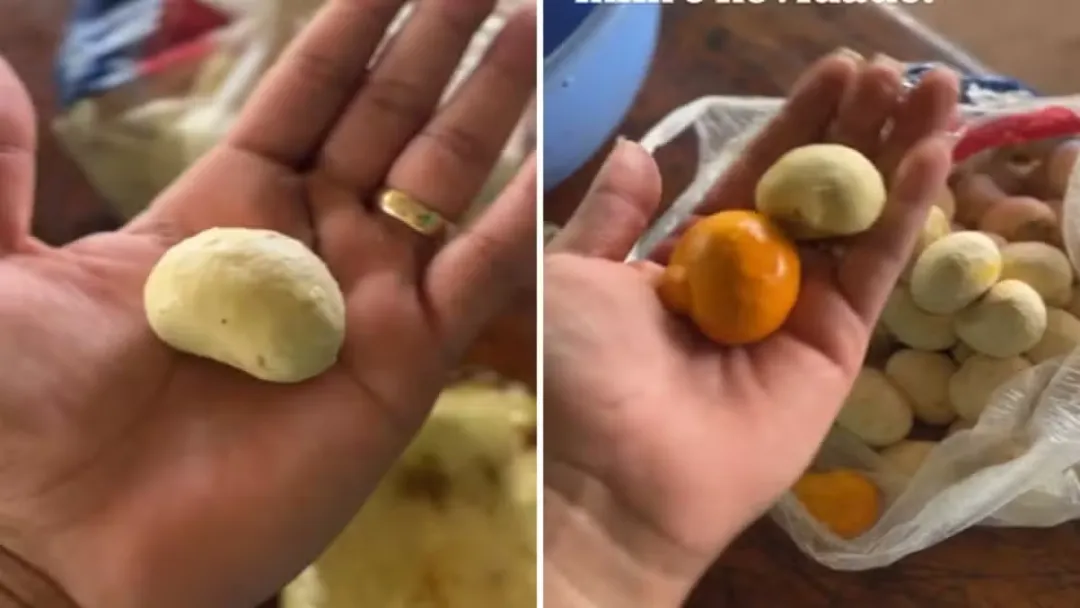 Raro e Impressionante: Conheça o Pequi Branco de Goiás