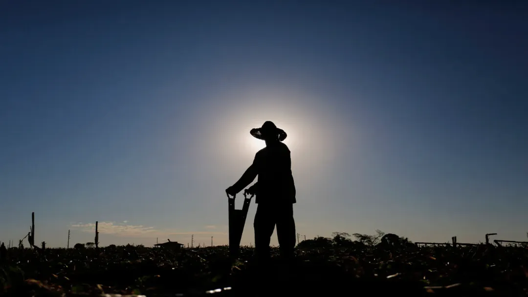Agro impulsiona renda recorde no Brasil e desemprego cai para 5,2%