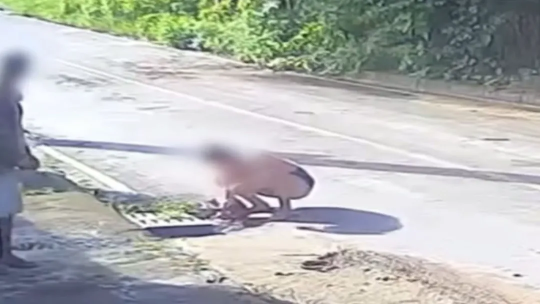 Casal é preso por abandonar bebê em MG; PM amamenta a recém-nascida