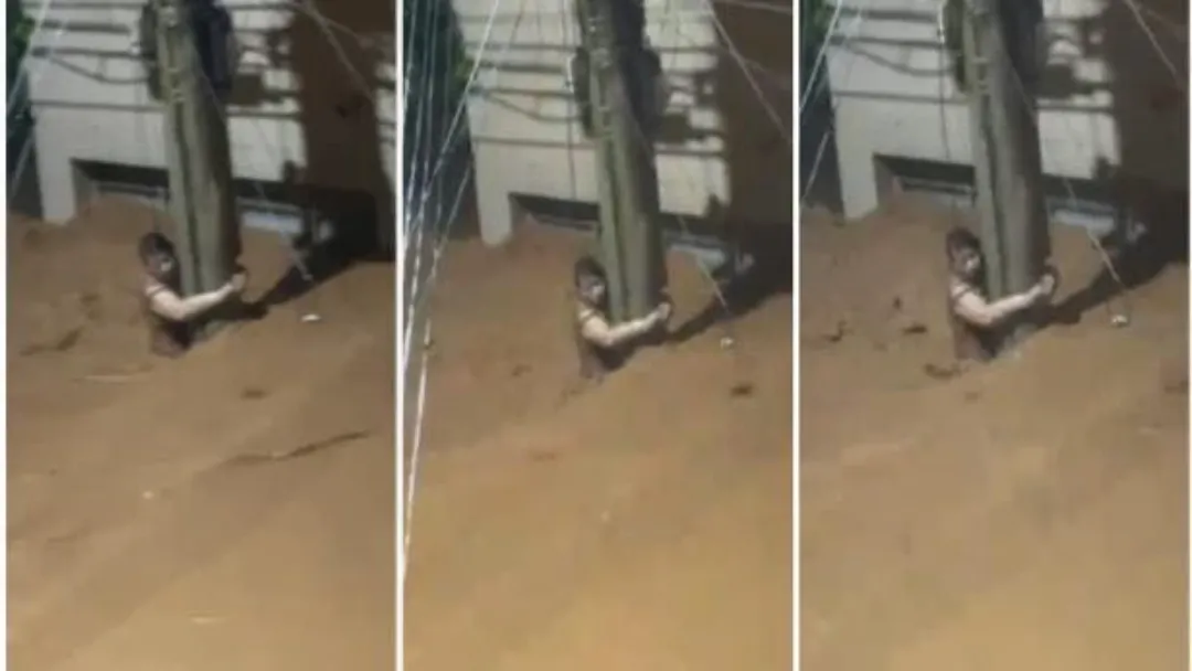 Juiz de Fora: Mulher se agarra a poste para escapar de enxurrada