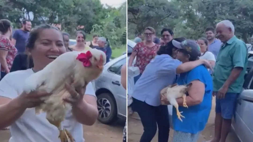 Vizinhos fazem 'chá de galinha' para lavradora que perdeu animais em ataque em Goiás.