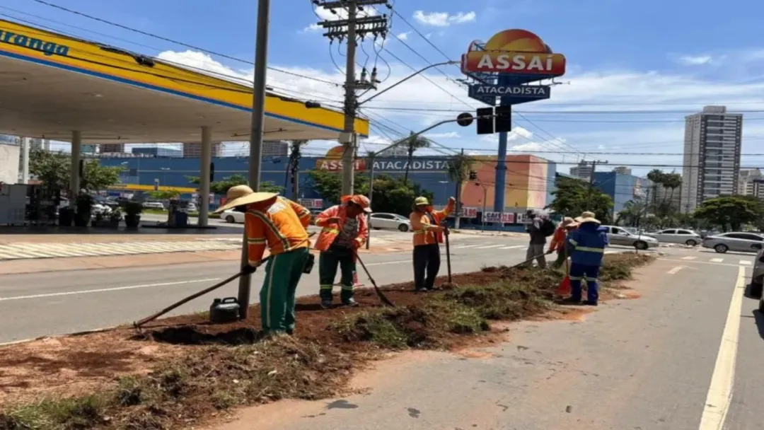 Comurg planta 89 árvores e revitaliza paisagismo da Avenida D em Goiânia