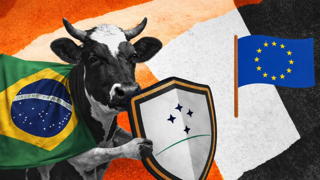 Brasil lidera cota de carne bovina no acordo Mercosul–UE com 42,5%