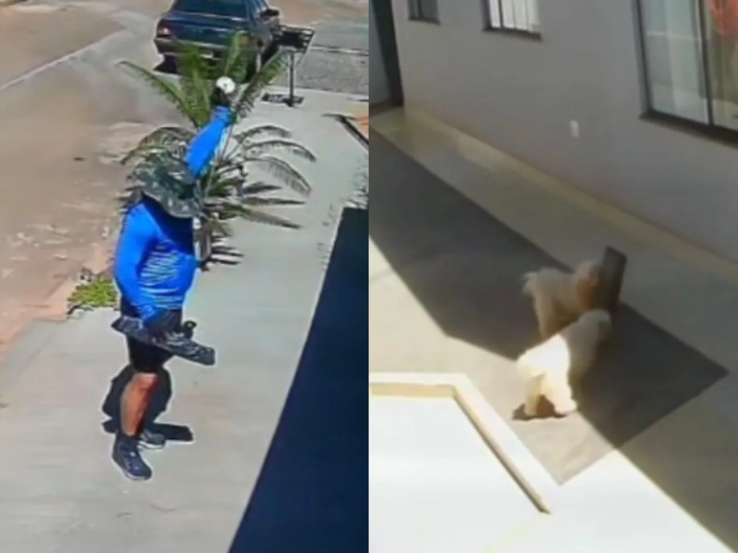 Entregador joga pacote e causa prejuízo em Anápolis