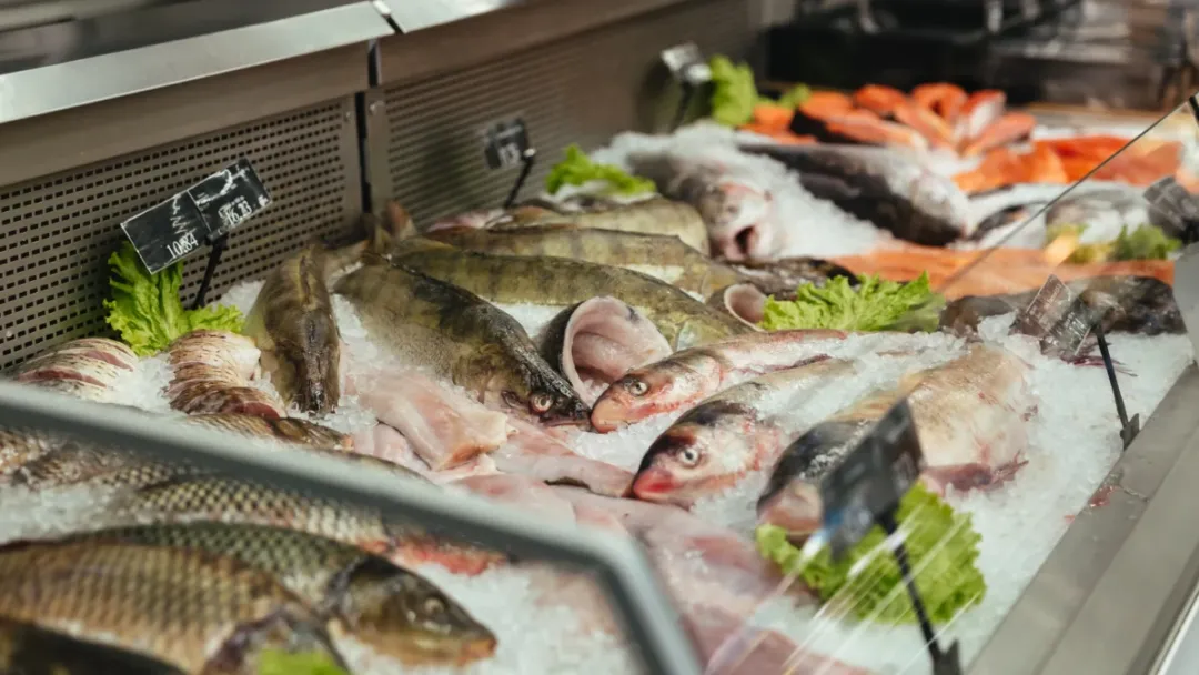 Peixe na Semana Santa pode custar 267% mais caro em Goiânia