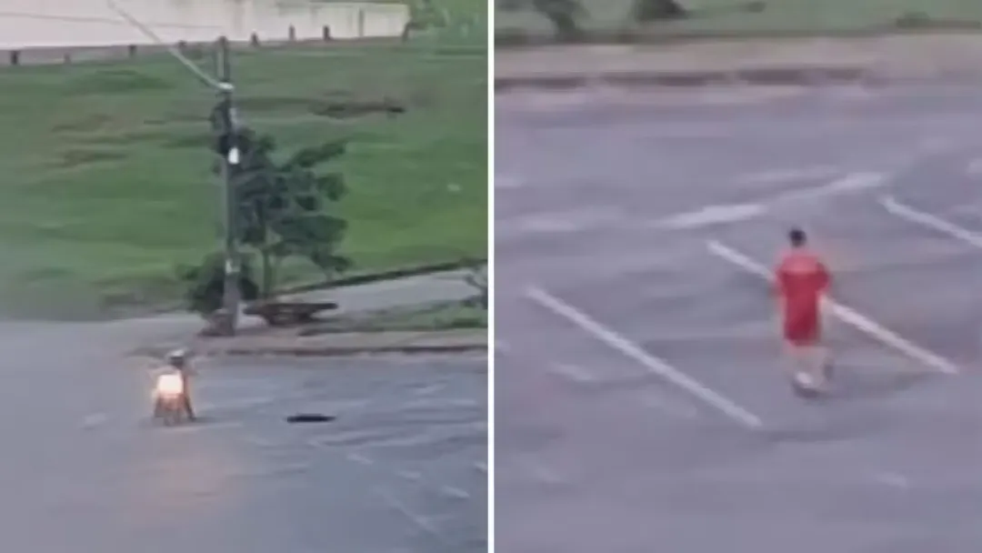 Caso Brutos: Bombeiro é afastado e tem porte de arma suspenso