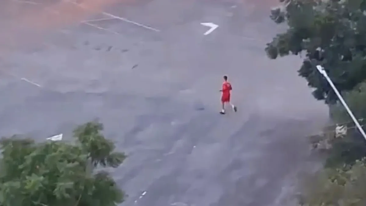 Bombeiro mata cachorro a tiro no Serra Dourada após ataque em Goiânia