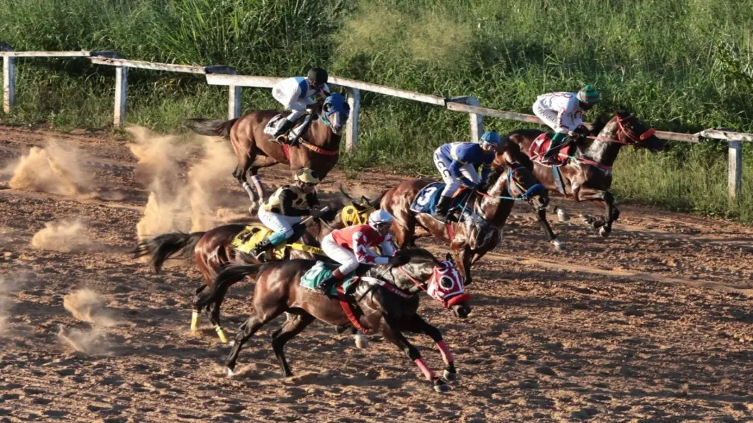 Hipódromo de Goiânia recebe corridas com apostas
