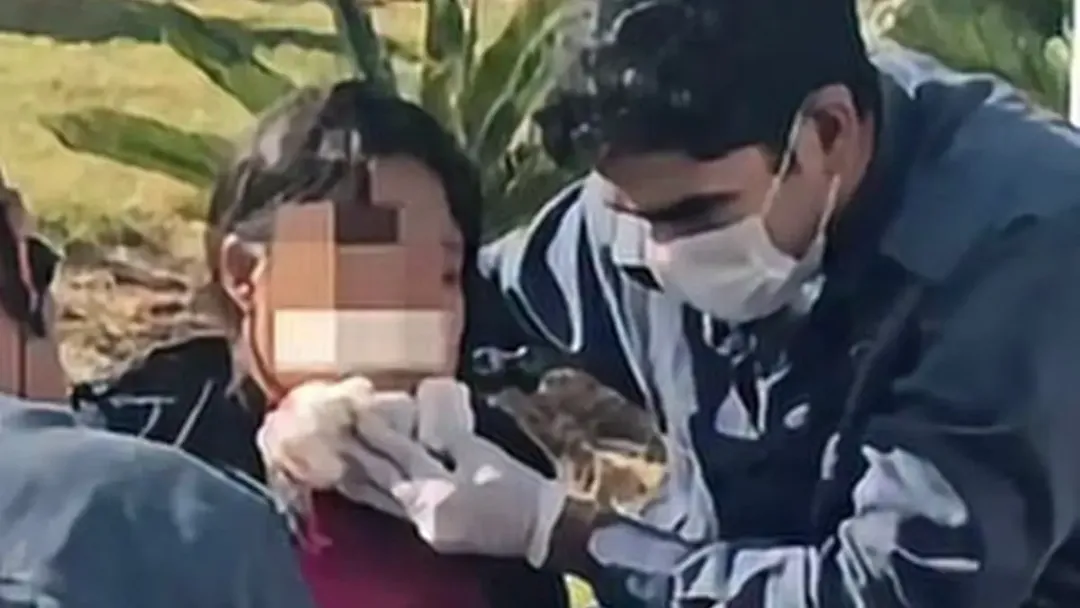 Homem morre em confronto após balear ambulante autista na Rodoviária de Goiânia