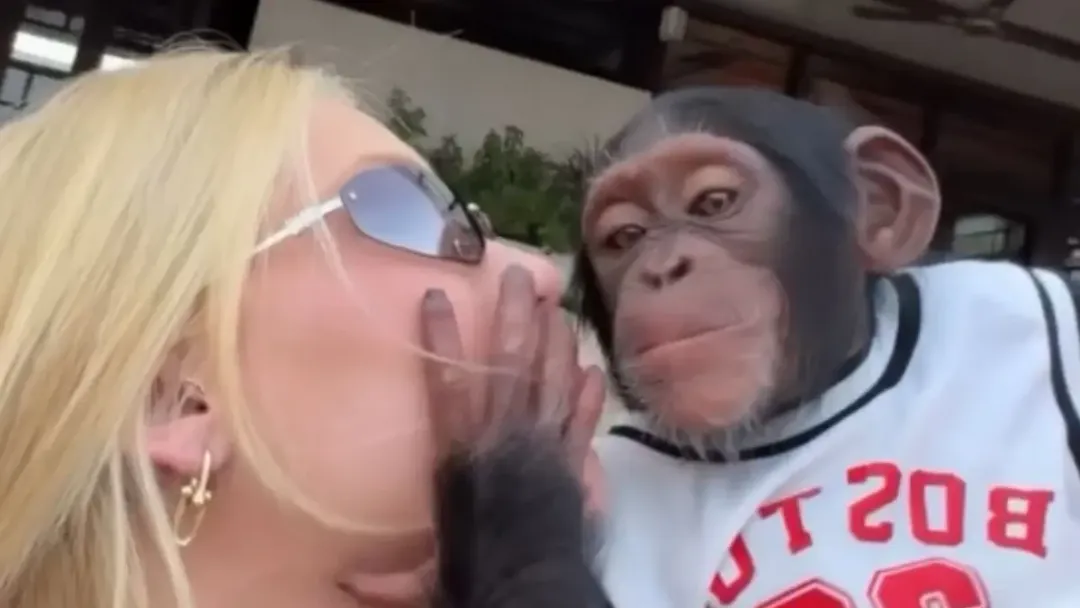 Virginia Fonseca viraliza ao beijar macaco durante passeio em Dubai