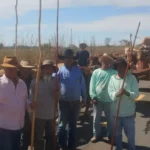 Romaria do Divino Pai Eterno 2026: fiéis enfrentam longas jornadas de carro de boi rumo a Trindade