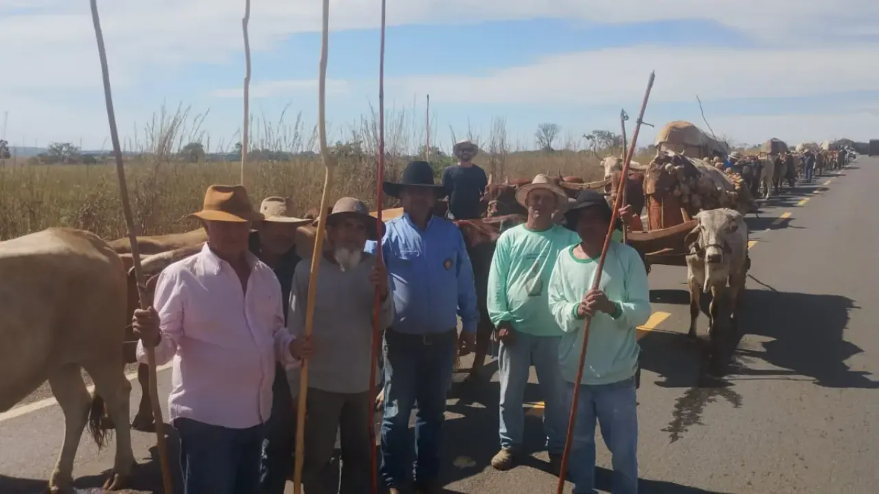 Romaria do Divino Pai Eterno 2026: fiéis enfrentam longas jornadas de carro de boi rumo a Trindade