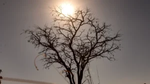 Inverno em Goiás terá calor intenso, umidade de até 10% e risco elevado de queimadas