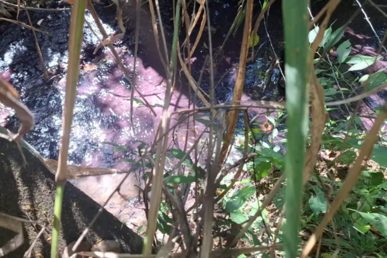 Mancha rosa avança em córrego após incêndio de carreta com produtos químicos na BR-153