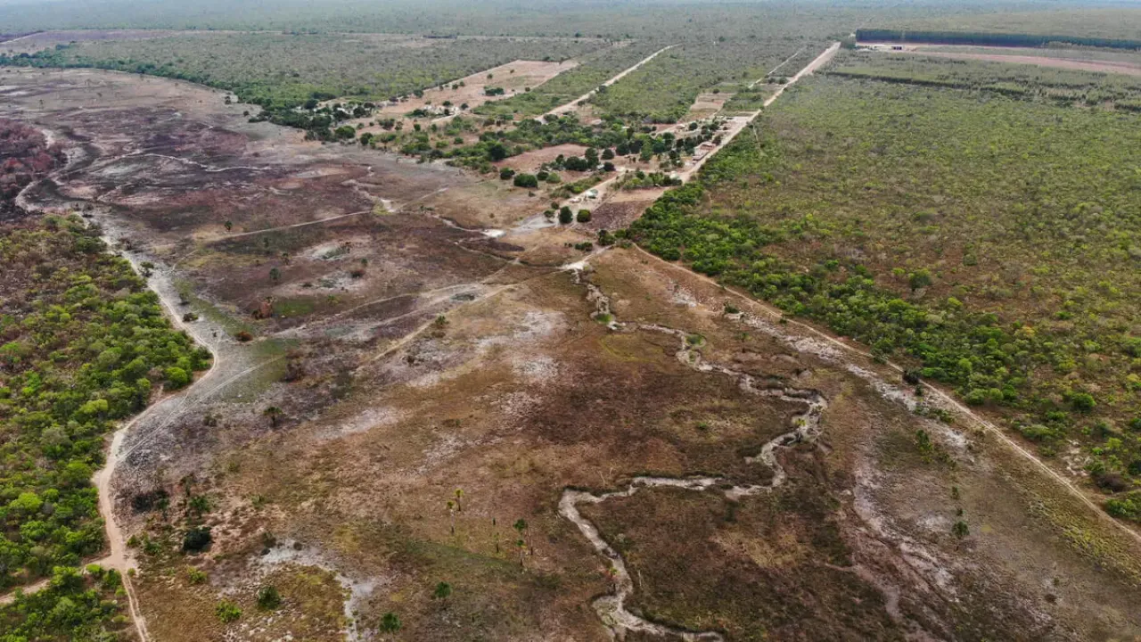 Desmatamento em Goiás: operação aplica R$ 298 mil em multas