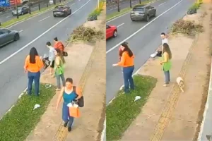 Idoso é preso após jogar cachorro em bueiro em Goiânia