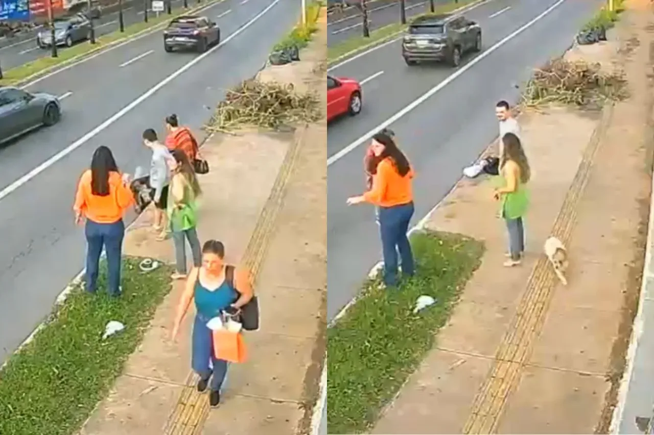 Idoso é preso após jogar cachorro em bueiro em Goiânia