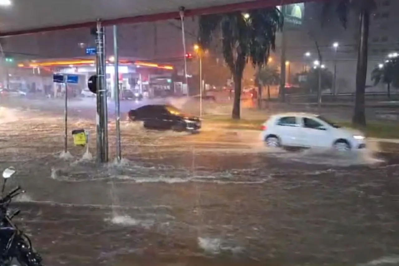 Temporal causa alagamentos e queda de árvores em Goiânia