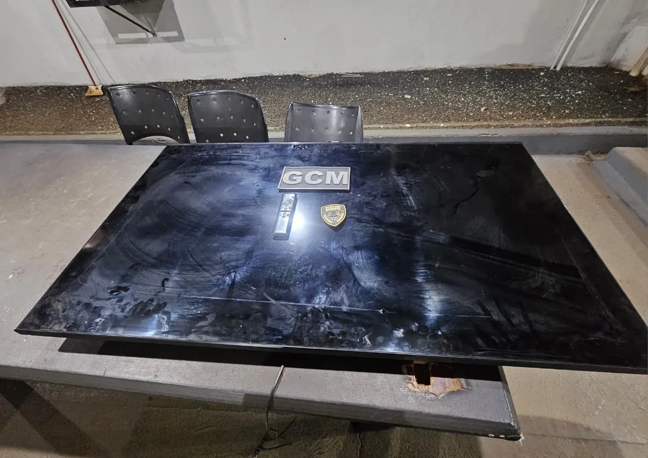 GCM recupera TV furtada após anúncio na internet em Rio Verde