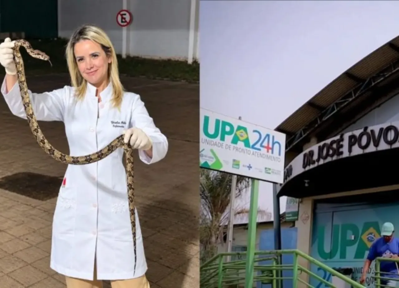 Idosa é picada por jararacuçu e leva cobra à UPA